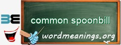 WordMeaning blackboard for common spoonbill